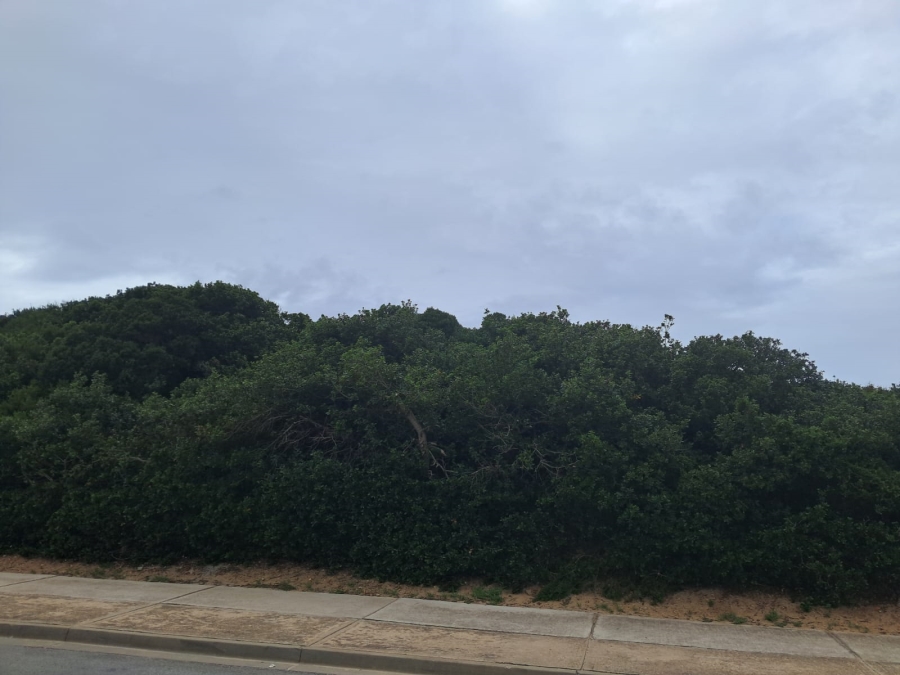 0 Bedroom Property for Sale in Begha Eastern Cape